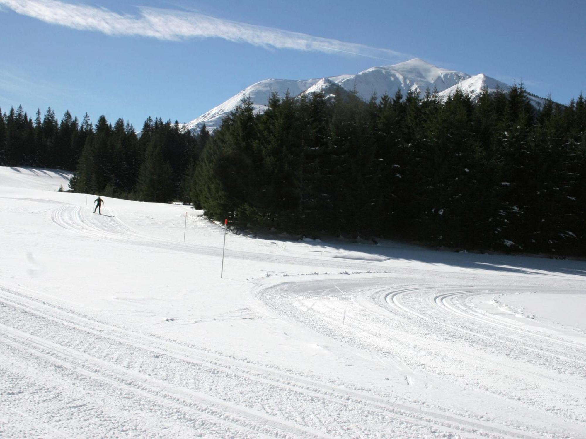 Chalet In Hohentauern With In House Wellness Kültér fotó